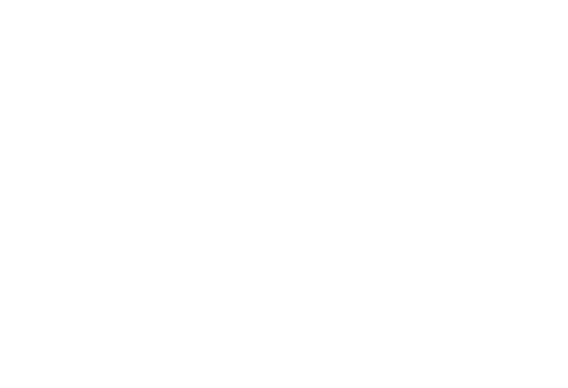 The Steam Hotel logga